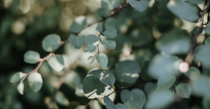 Balance/Fall Prevention